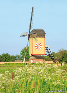 ansichtkaart Hamse molen in Wanroij
