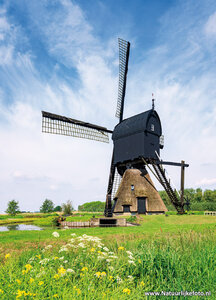 ansichtkaart Noordeveldse molen in Dussen