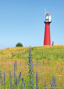 ansichtkaart Hoek van Holland - vuurtoren