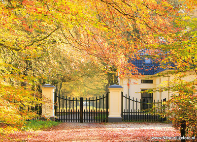 Ansichtkaart paleispark Kroondomein Het Loo in Apeldoorn 