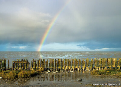 ansichtkaart regenboog