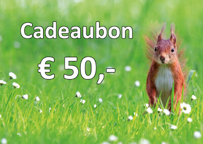 Cadeaubon voor kaarten en stickervellen € 50,0