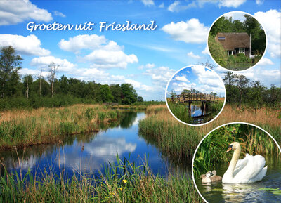 Ansichtkaart groeten uit Friesland