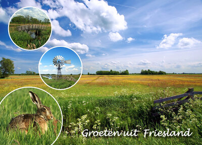 Ansichtkaart groeten uit Friesland