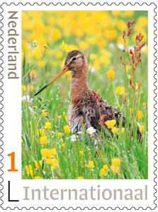 Internationale postzegels - 5x Grutto