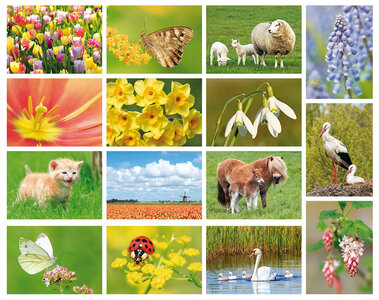 Lente kaarten