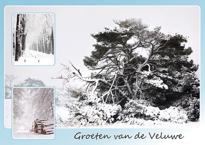 Ansichtkaart winter op de Veluwe, postcard winter on the Veluwe, Postkarte winter auf der Veluwe