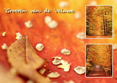 Herfstkaarten, ansichtkaart Veluwe, Autumn postcard, Herbst Postkarte