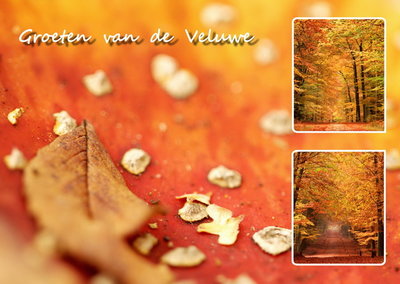 Herfstkaarten, ansichtkaart Veluwe, Autumn postcard, Herbst Postkarte