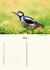 Verjaardagskalender vogels, Birthday calendar birds, Geburtstagskalender Vogel