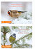 20-luxe-kerstkaarten-vogels-putter-pimpelmees