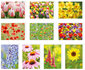 Blanco wenskaarten - set van 20 stuks