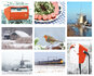 ansichtkaarten winter