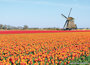 molen ansichtkaarten
