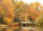 Herfst kaarten