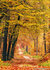 Herfst kaarten