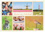 Nederland ansichtkaarten