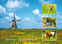 Nederland ansichtkaarten