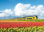 Trein kaarten