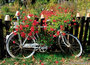 Postcrossing postkaarten