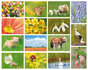 Lente kaarten