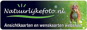Logo Ansichtkaarten webshop Natuurlijkefoto.nl
